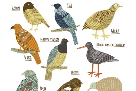 Birds of New Zealand, 2013