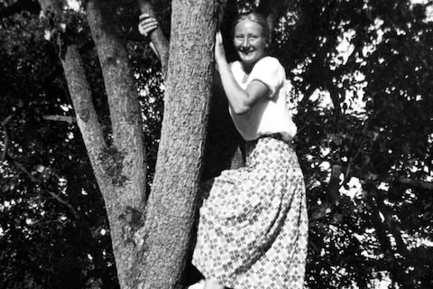 Frau Auf Baum, Zwei Hut 1