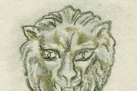 The Lion