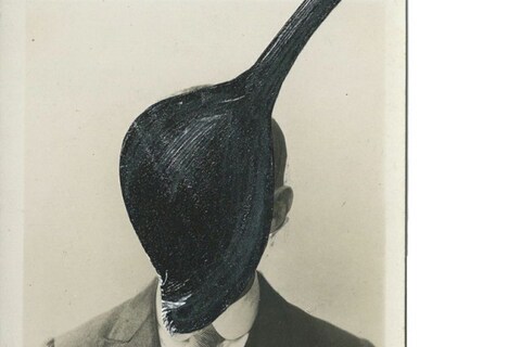 Colchicum autumnale, 2014