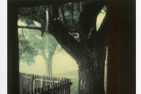 Polaroid by Andrei Tarkovsky, 1979-84