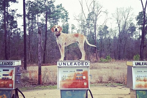Sparkman, Arkansas, January 11, 2012