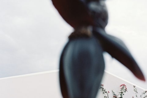 On set with Jacquemus S/S14