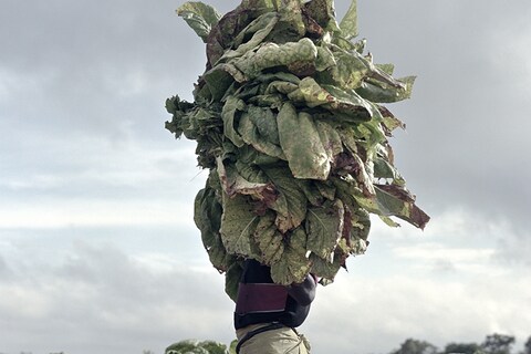 Jackie Nickerson, Oscar, 2012