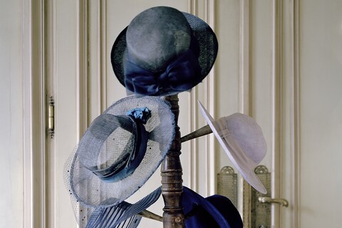 Collection, 2013