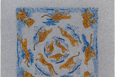 Herm&#232;s Scarf