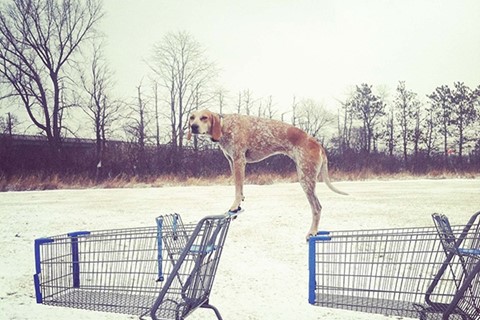 Tomah, Wisconsin, February 21, 2012