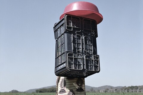 Jackie Nickerson, Makanyara, 2013