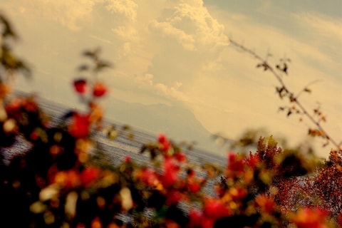 Vesuvius