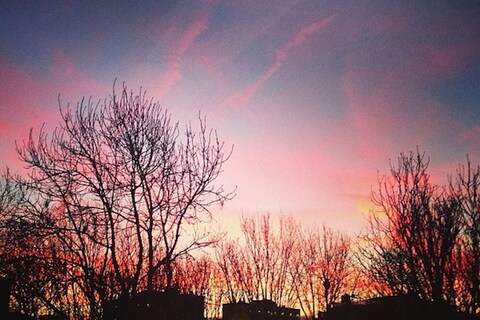 Columbia Road, courtesy of Natalie Busuttil (@favouriteaunti