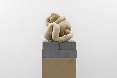 Sarah Lucas, NUD 25, 2010