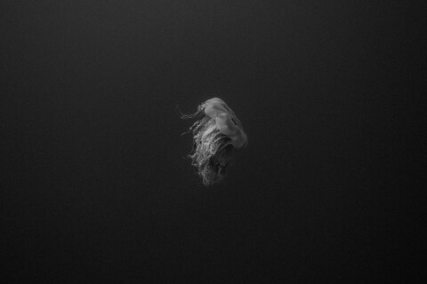 State of the Oceans Parley for the Oceans