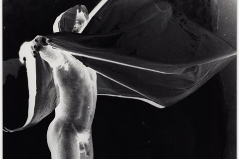 Double Trouble by Jimmy DeSana and Laurie Simmons
