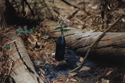 Gregory Halpern Magnum Square Print Sale Turning Points