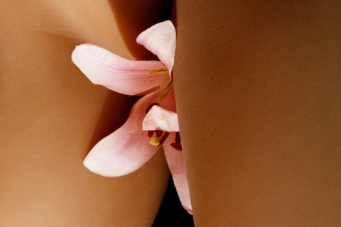 Harley Weir Beauty Papers IDEA