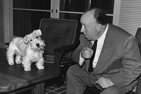 Hitchcock with a Sealyham terrier, 1940s