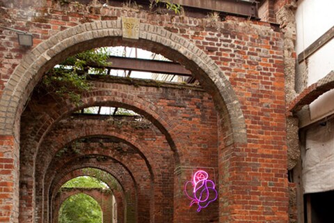 Coloured Rose - Cerith Wynn Evans (2008)