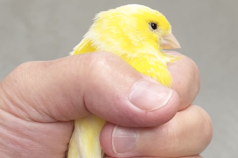 Palace x Juergen Teller