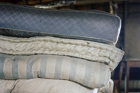 Collection, 2013