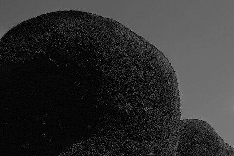 Topiary