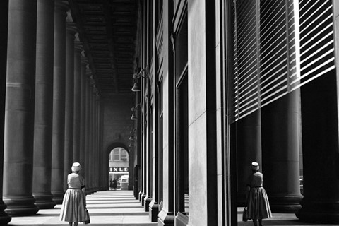 Sunlit Pillars