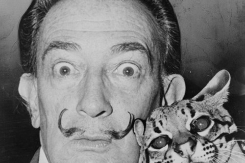 Dal&#237; and Babou, 1965