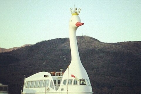 Swan boat
