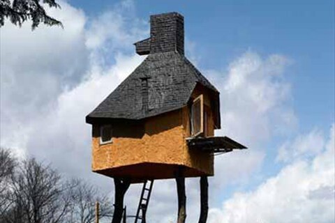 Love nest
