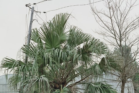 9783775744577_lr_pr01