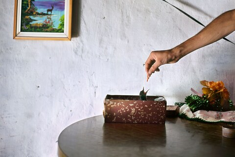 Alessandra Sanguinetti, from The Adventures of Guille and 
