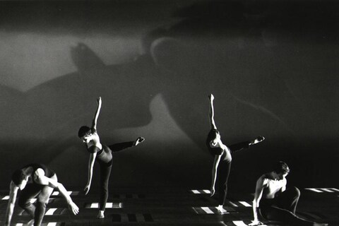 Siobhan Davies Dance, White Man Sleeps
