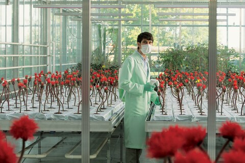 Little-Joe-Still-6----Ben-Whishaw-as-Chris---A-BFI