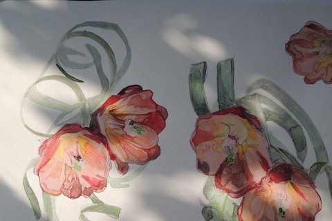 Klaus Schmidt for Creatures of the Wind