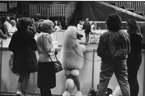 England, Birmingham, 1991