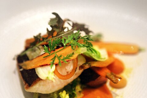 Arctic char with carrots