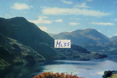 Roy Voss, Miss (i)