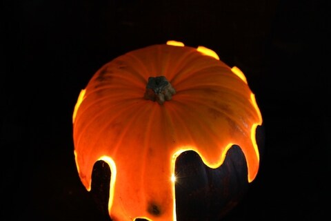 Pumpkin by Quentin Jones