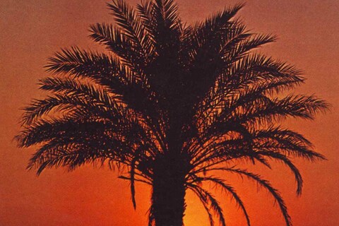 Postcard from Sunsets From...