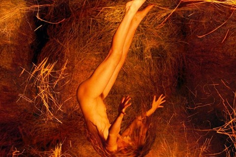 Amanda (Haystacks), 2011