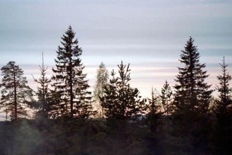 Photograph from super/collider’s Worlds In Transit expeditio