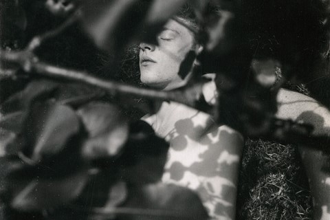 August by Collier Schorr Mack Books