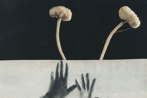 Le Labo by Katrien De Blauwer