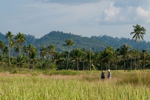 Still from Hi-So