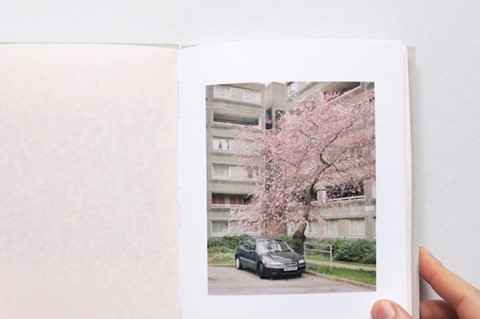 The Cherry Blossom in Kilburn