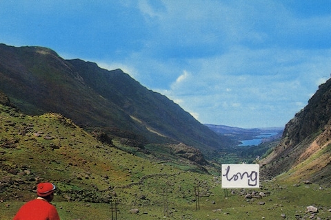 Roy Voss, Long (ii)
