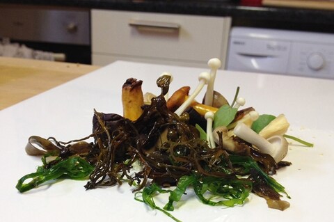 The first course