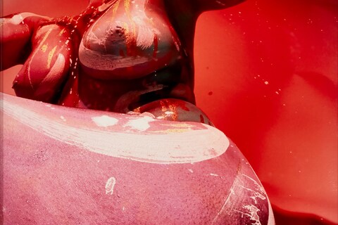 Colours of My Body