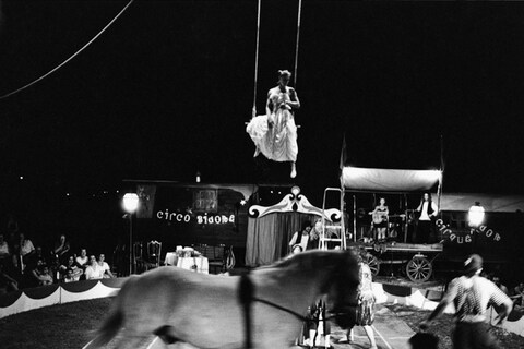 From Circus by Giuliano Plorutti