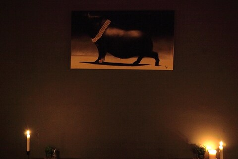 Black Pig Painting
