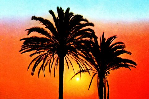 Postcard from Sunsets From...